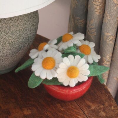 Daisy Pot - Pot