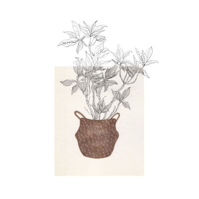 A4-Blatt „Weihnachtsblumen“-Pflanzen
