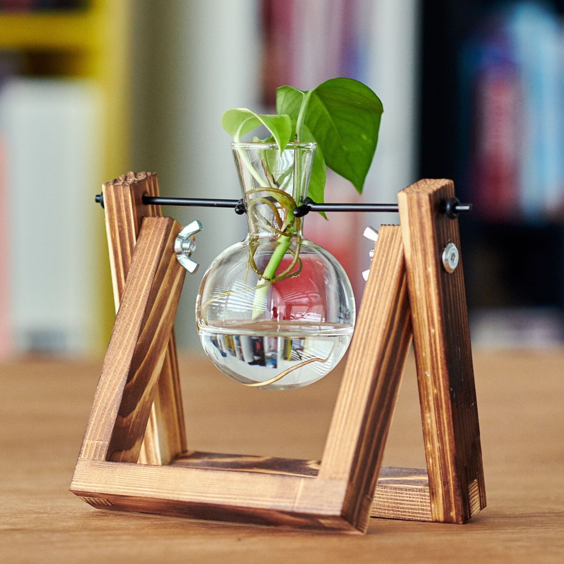 Hydra, Anzuchtstation für 1 Pflanze