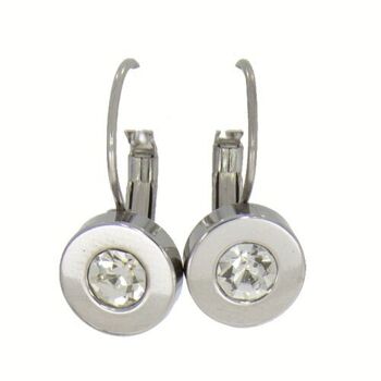 Boucles d'oreilles dormeuses en acier inoxydable avec pierre, argent 1