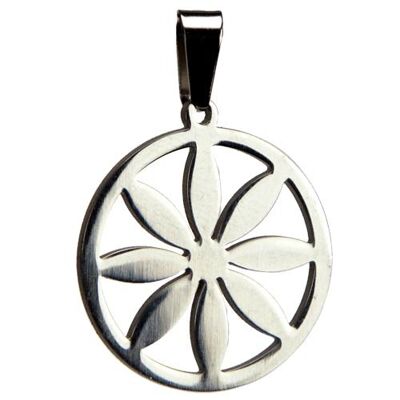 Colgante de acero inoxidable Sol alpino