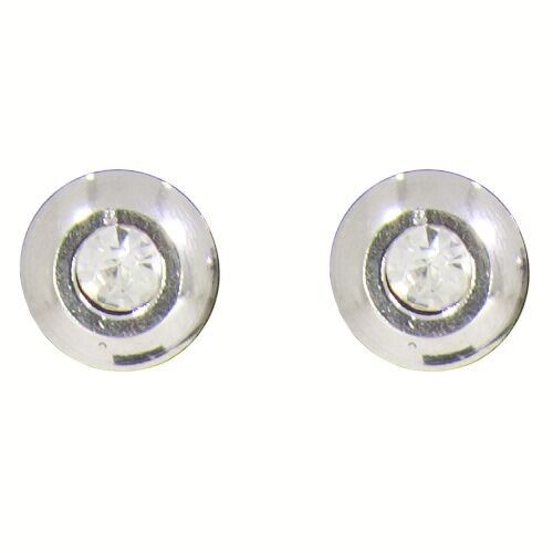 Orecchini in acciaio inossidabile con pietra, argento 1