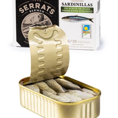 Sardinen in BIO-Olivenöl extra vergine – 16/20 Stück – 115 g Dose – Conservas Serrats
