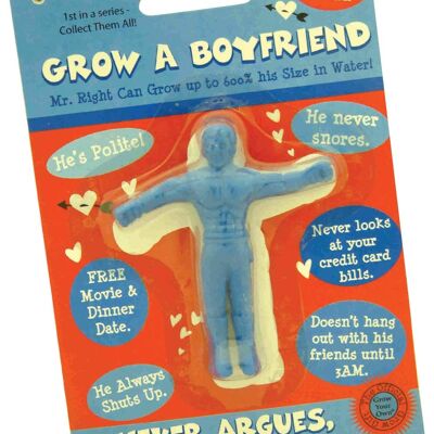 Grow A Boyfriend - Novelty Gifts, Stocking Stuffer/Filler