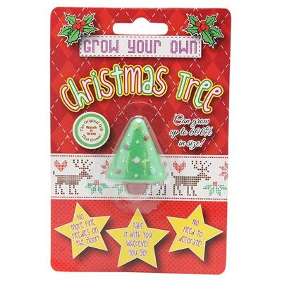 Grow A Christmas Tree - Novelty Gifts