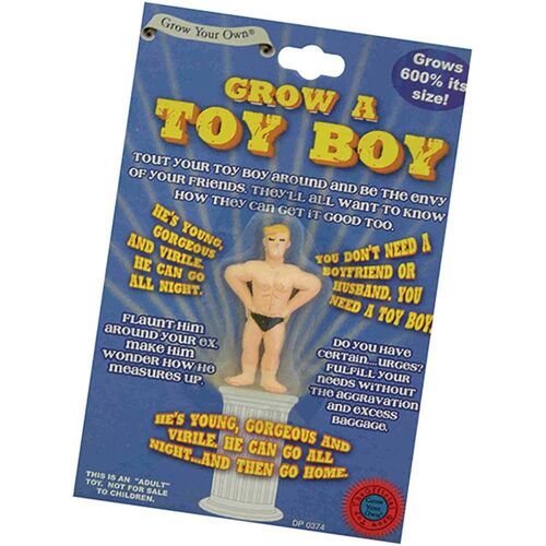 Grow a Toy Boy - Hen Night, Gifts for a Bride, Wedding Gifts - Novelty Gifts