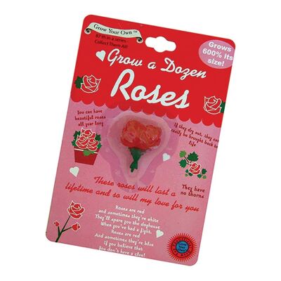 Grow A Red Rose - Novelty Gifts