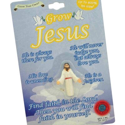 Grow Jesus - Riempitivo per cestini pasquali, regali bavaglio - Regali originali