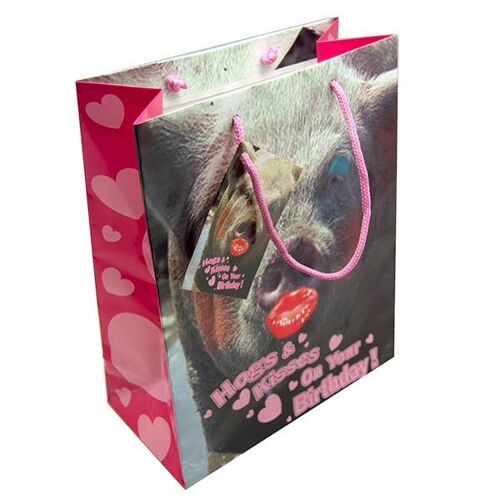 Gift Bag Hogs and Kisses on Your Birthday! - Novelty Gifts