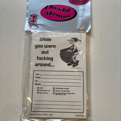 Cheeky Memo Pad - Wile You Were Fucking Around- Novelty Gift