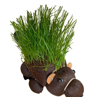 Grow Your Own Hairy Beaver - Gag Gifts, Novelty Father's Day - Novelty Gifts