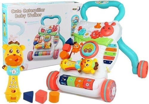 Loopwagen baby - Loopkar - educatief speelgoed