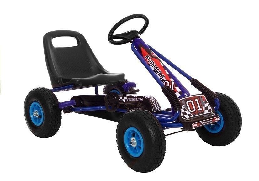 Go-Kart - Go-Kart - 4 Jahre - 92 x 56 cm - Blau