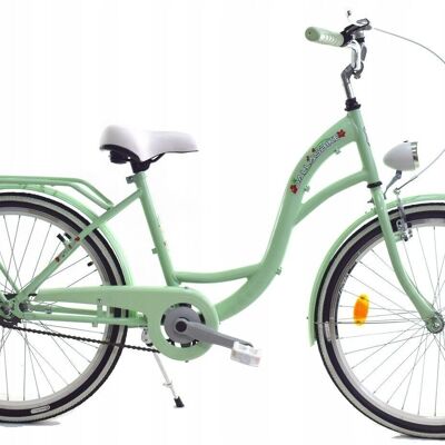 Mädchenfahrrad 24 Zoll robustes Modell in Mint von Dallas Bike