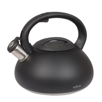 Whistling kettle - water kettle - stainless steel - 3L - 22x22x20 cm - black