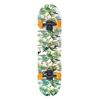 Skateboard - complet - design perroquet - 78 cm - 7,87 pouces