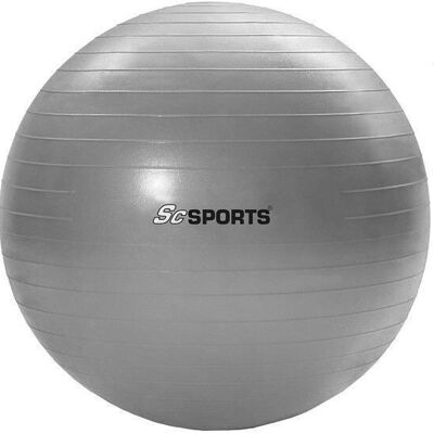 Ballon de fitness avec pompe 65 cm gris