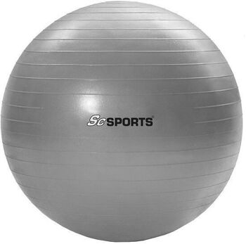 Ballon de fitness avec pompe 65 cm gris