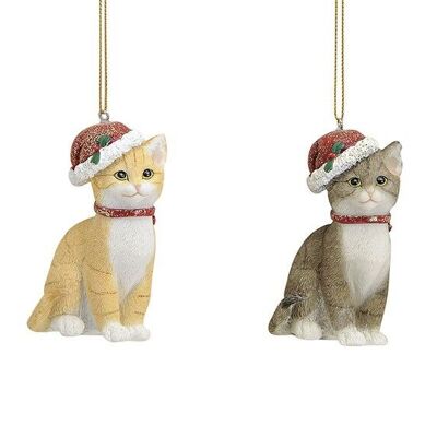 Hanging cat with a poly Santa hat