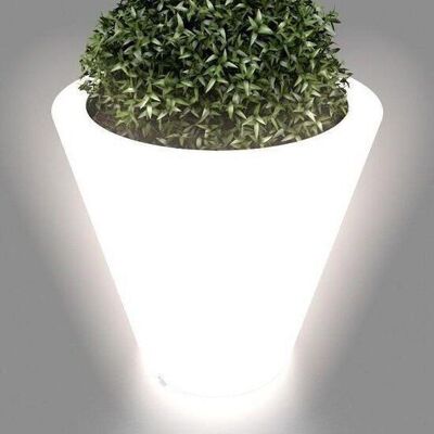 Luminous flower pot - indoor & outdoor - low tapered cylinder shape