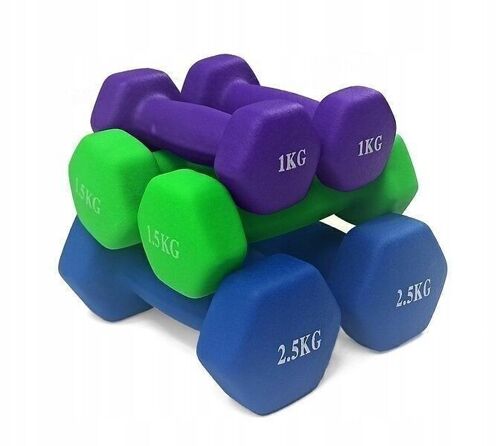 Dumbell combinatie set 10 kg totaal - met koffer