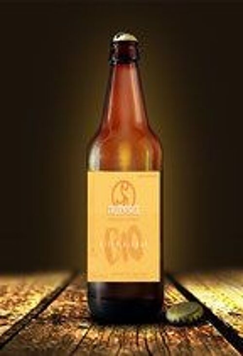 Bière blonde bio l'Aoucataise légère (4,8°)