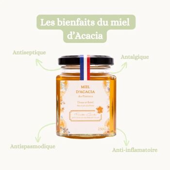Miel d'Acacia - Des Pyrénées 2