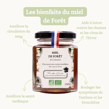 Miel de Forêt (BIO) - Limousin 2