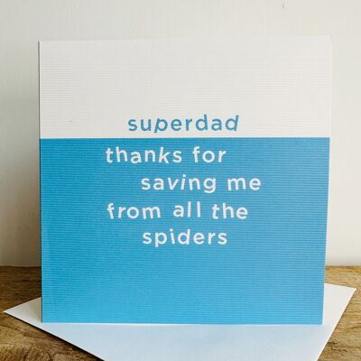 TP07 Superdad Saving Me From Spiders