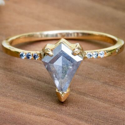 750 Gold Ring | Salz & Pfeffer Diamant Schild