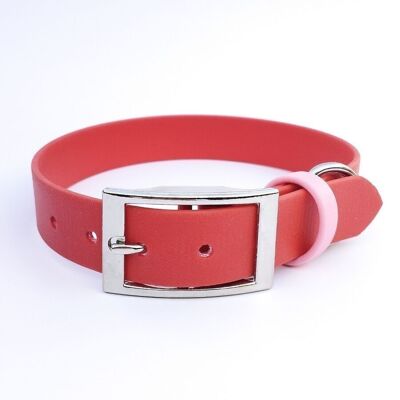 Strawberry Biothane dog collar handmade in France