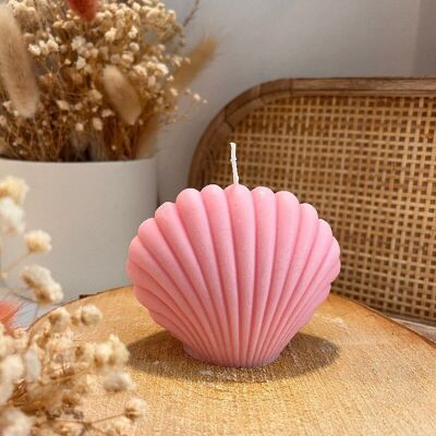 Shell Candle L