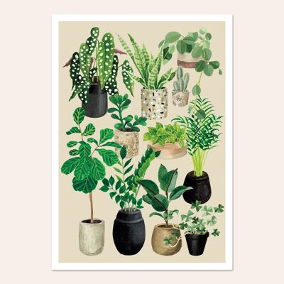 Póster Amor por las plantas - tiza