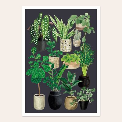 Poster Liebe zu Pflanzen - Schiefer