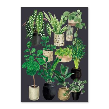 Carte postale Amour de plantes - Ardoise 1