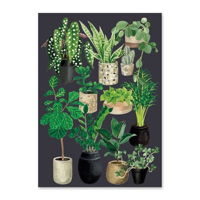 Postkarte Liebe zu Pflanzen - Schiefer