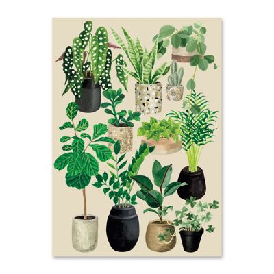 Postkarte Liebe zu Pflanzen - Kreide