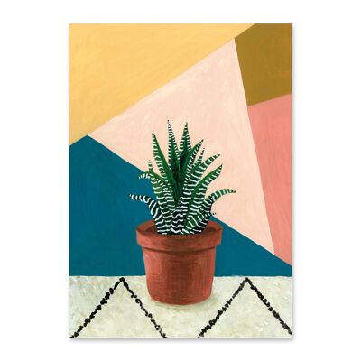 Succulent Postcard