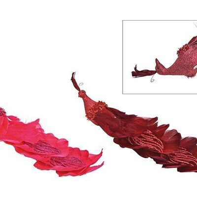 Pavone con clip in plastica, piume Bordeaux, rosa 2 volte, (L / A / P) 34x10x10cm