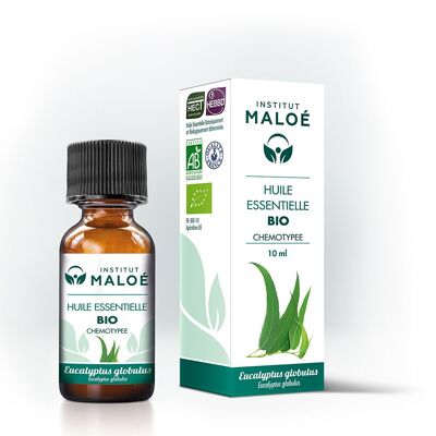 Organic Eucalyptus globulus essential oil - 10 mL