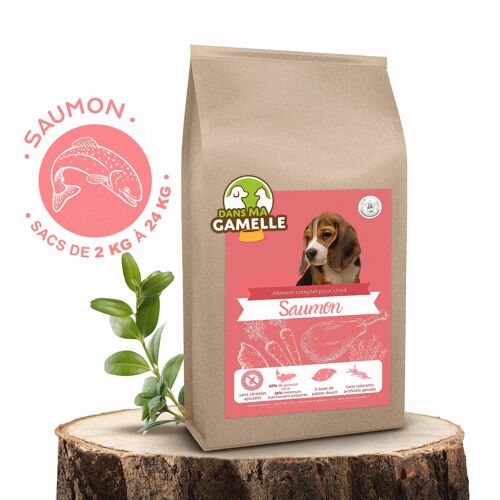 Croquettes Saumon et Aiglefin - Chiots (Moyennes races)