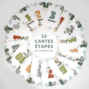 Cartes étapes - Souvenirs de la première année de bébé