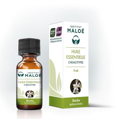 Aceite esencial de Buchú - 5 mL