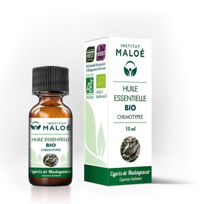 Olio essenziale di Cipresso del Madagascar biologico - 10 ml