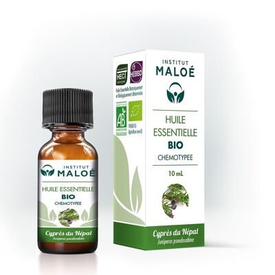 Olio essenziale di Cipresso Nepalese biologico - 10 ml