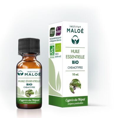 Organic Nepalese Cypress essential oil - 10 mL