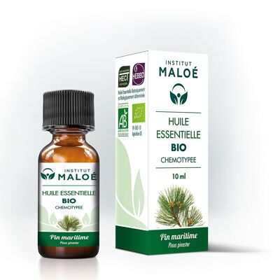 Organic maritime pine essential oil - 10 mL