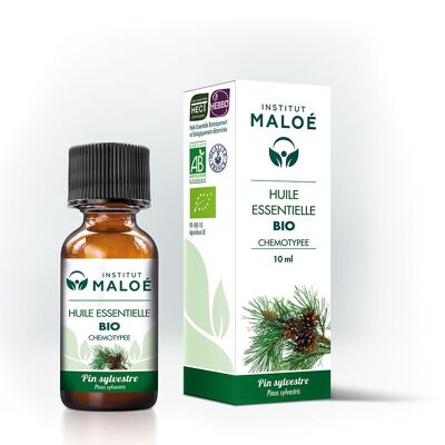 Organic Scots Pine essential oil - 10 mL
