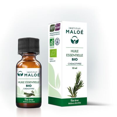 OLIO ESSENZIALE DI TEA TREE BIOLOGICO - 10 ML