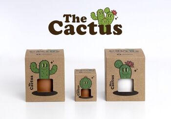 Le Cactus : Monsieur Cactus 5